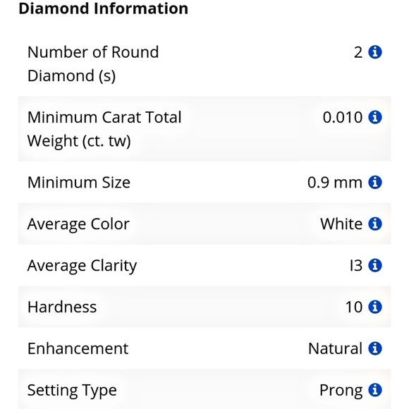 🆕🆑 Diamond Accent Hoop Encrusted Earrings | Inside Out Rhodium Platinum Silver - Picture 6 of 11